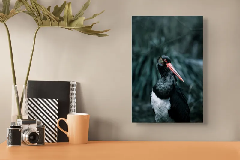 Tablou Canvas, "Barza neagră în pădure sumbră", Pasăre, Picioroange, Roșu, Negru, Peisaj, Pene, Ochi, Gât, Natură, Fundal, Contrast, Eleganță, Detaliu, Privire, Sălbăticie, 26 x 39 cm – poza 3