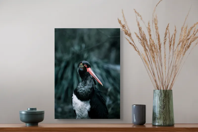 Tablou Canvas, "Barza neagră în pădure sumbră", Pasăre, Picioroange, Roșu, Negru, Peisaj, Pene, Ochi, Gât, Natură, Fundal, Contrast, Eleganță, Detaliu, Privire, Sălbăticie, 39 x 54 cm – poza 3