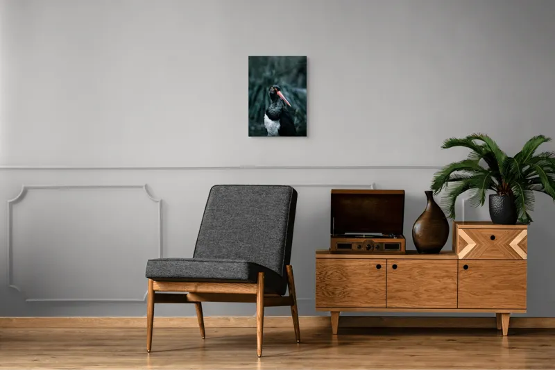 Tablou Canvas, "Barza neagră în pădure sumbră", Pasăre, Picioroange, Roșu, Negru, Peisaj, Pene, Ochi, Gât, Natură, Fundal, Contrast, Eleganță, Detaliu, Privire, Sălbăticie, 39 x 54 cm – poza 8