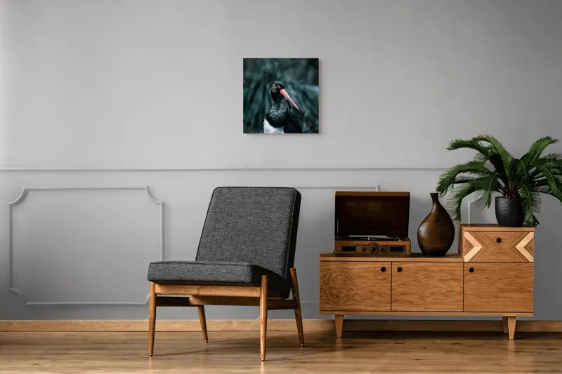 Tablou Canvas, "Barza neagră în pădure sumbră", Pasăre, Picioroange, Roșu, Negru, Peisaj, Pene, Ochi, Gât, Natură, Fundal, Contrast, Eleganță, Detaliu, Privire, Sălbăticie, 50 x 50 cm – poza 6