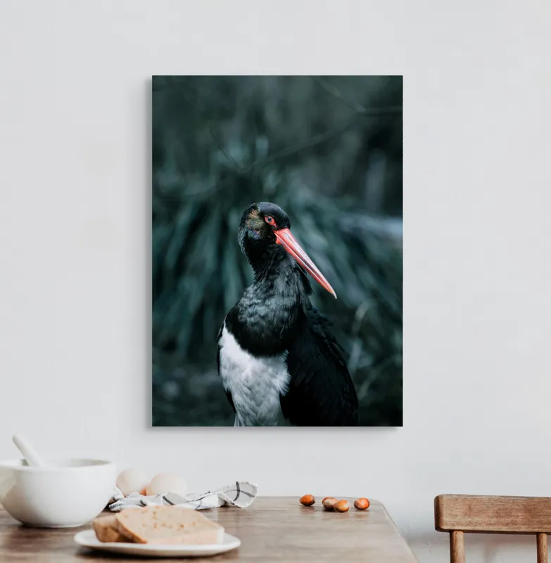 Tablou Canvas, "Barza neagră în pădure sumbră", Pasăre, Picioroange, Roșu, Negru, Peisaj, Pene, Ochi, Gât, Natură, Fundal, Contrast, Eleganță, Detaliu, Privire, Sălbăticie, 50 x 70 cm – poza 3