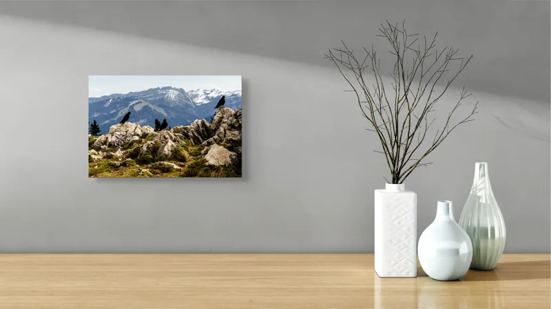 Tablou Canvas, "Ciori pe culme de munte înzăpezită", Pietre, Corbi, Munți, Zăpadă, Cer, Peisaj, Natură, Vârfuri, Vegetație, Rocă, 39 x 26 cm – poza 8