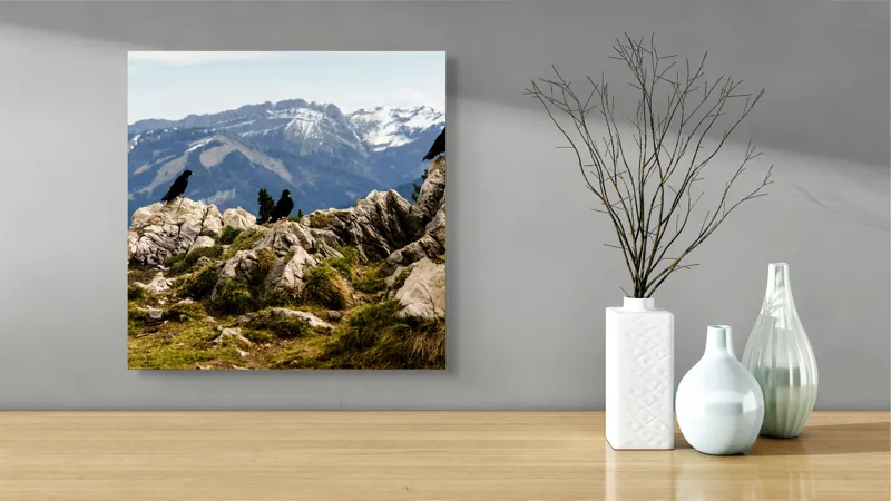 Tablou Canvas, "Ciori pe culme de munte înzăpezită", Pietre, Corbi, Munți, Zăpadă, Cer, Peisaj, Natură, Vârfuri, Vegetație, Rocă, 50 x 50 cm – poza 3