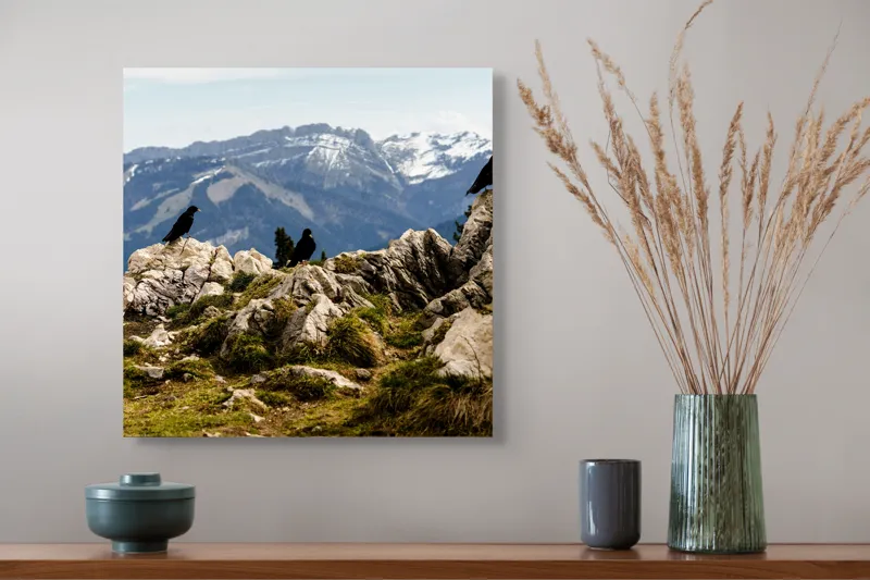 Tablou Canvas, "Ciori pe culme de munte înzăpezită", Pietre, Corbi, Munți, Zăpadă, Cer, Peisaj, Natură, Vârfuri, Vegetație, Rocă, 50 x 50 cm – poza 4