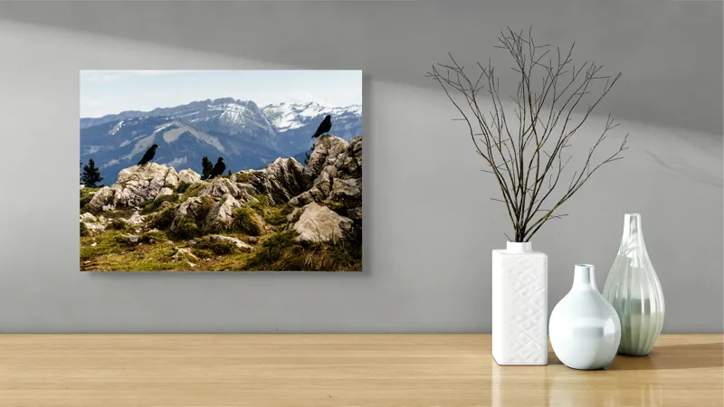 Tablou Canvas, "Ciori pe culme de munte înzăpezită", Pietre, Corbi, Munți, Zăpadă, Cer, Peisaj, Natură, Vârfuri, Vegetație, Rocă, 54 x 39 cm – poza 3