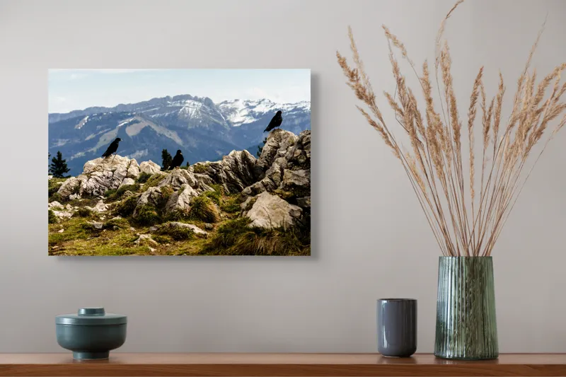 Tablou Canvas, "Ciori pe culme de munte înzăpezită", Pietre, Corbi, Munți, Zăpadă, Cer, Peisaj, Natură, Vârfuri, Vegetație, Rocă, 54 x 39 cm – poza 4