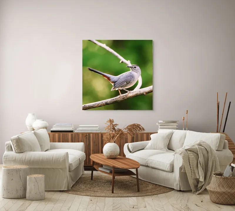 Tablou Canvas, "Păsărea cenușie printre ramuri subțiri", Pasăre, Ramură, Verdeață, Coadă, Penaj, Ochi, Natură, Frumusețe, 100 x 100 cm – poza 3