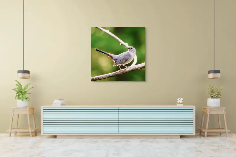 Tablou Canvas, "Păsărea cenușie printre ramuri subțiri", Pasăre, Ramură, Verdeață, Coadă, Penaj, Ochi, Natură, Frumusețe, 100 x 100 cm – poza 5
