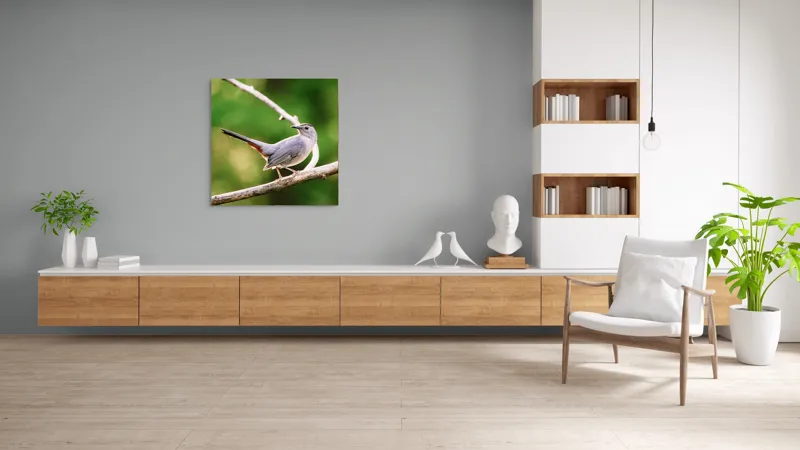 Tablou Canvas, "Păsărea cenușie printre ramuri subțiri", Pasăre, Ramură, Verdeață, Coadă, Penaj, Ochi, Natură, Frumusețe, 100 x 100 cm – poza 8