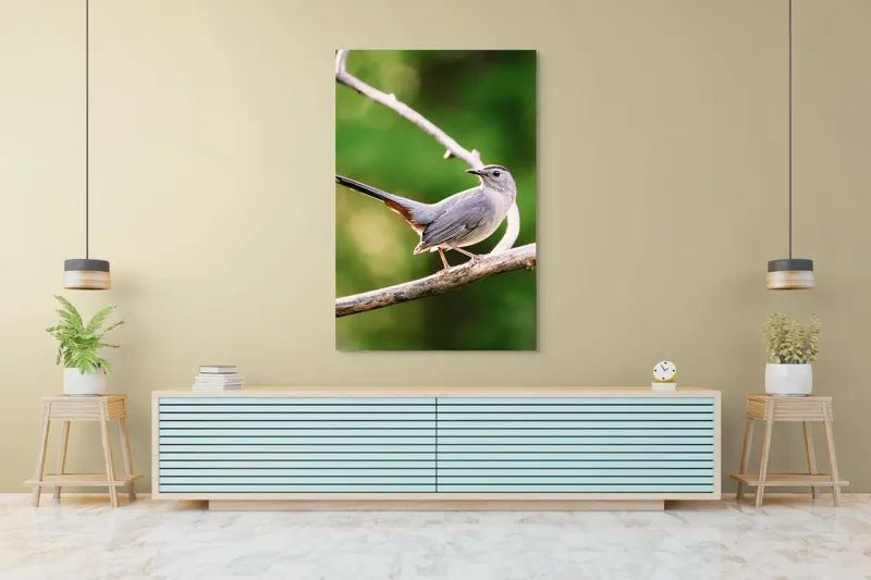 Tablou Canvas, "Păsărea cenușie printre ramuri subțiri", Pasăre, Ramură, Verdeață, Coadă, Penaj, Ochi, Natură, Frumusețe, 100 x 150 cm – poza 4