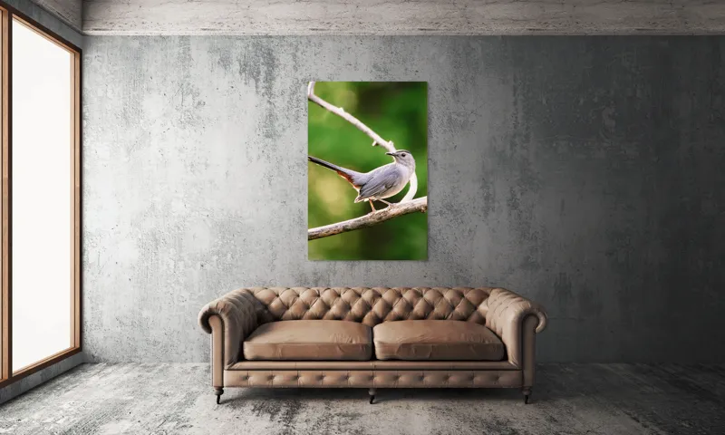 Tablou Canvas, "Păsărea cenușie printre ramuri subțiri", Pasăre, Ramură, Verdeață, Coadă, Penaj, Ochi, Natură, Frumusețe, 100 x 150 cm – poza 6