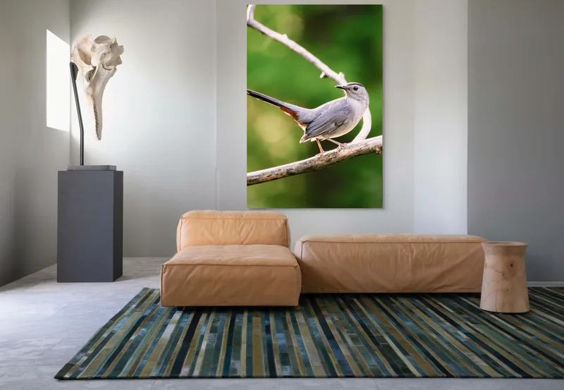 Tablou Canvas, "Păsărea cenușie printre ramuri subțiri", Pasăre, Ramură, Verdeață, Coadă, Penaj, Ochi, Natură, Frumusețe, 100 x 150 cm – poza 7