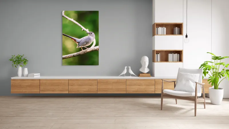 Tablou Canvas, "Păsărea cenușie printre ramuri subțiri", Pasăre, Ramură, Verdeață, Coadă, Penaj, Ochi, Natură, Frumusețe, 100 x 150 cm – poza 8