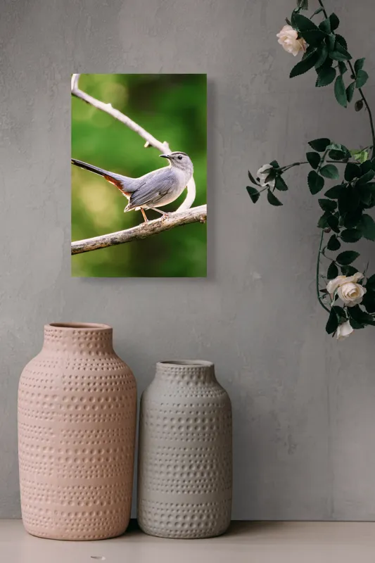 Tablou Canvas, "Păsărea cenușie printre ramuri subțiri", Pasăre, Ramură, Verdeață, Coadă, Penaj, Ochi, Natură, Frumusețe, 26 x 39 cm – poza 6