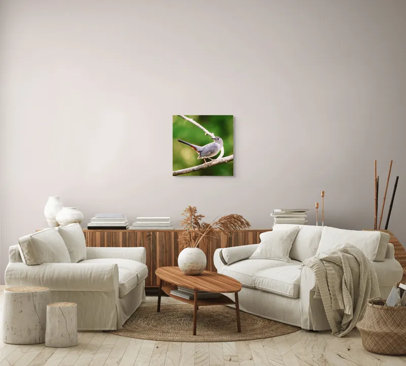 Tablou Canvas, "Păsărea cenușie printre ramuri subțiri", Pasăre, Ramură, Verdeață, Coadă, Penaj, Ochi, Natură, Frumusețe, 50 x 50 cm – poza 7