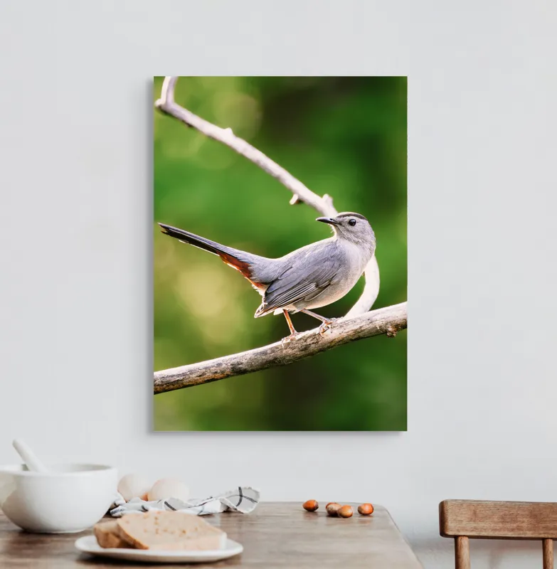 Tablou Canvas, "Păsărea cenușie printre ramuri subțiri", Pasăre, Ramură, Verdeață, Coadă, Penaj, Ochi, Natură, Frumusețe, 50 x 70 cm – poza 3