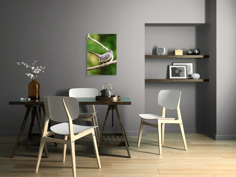 Tablou Canvas, "Păsărea cenușie printre ramuri subțiri", Pasăre, Ramură, Verdeață, Coadă, Penaj, Ochi, Natură, Frumusețe, 50 x 70 cm – poza 5