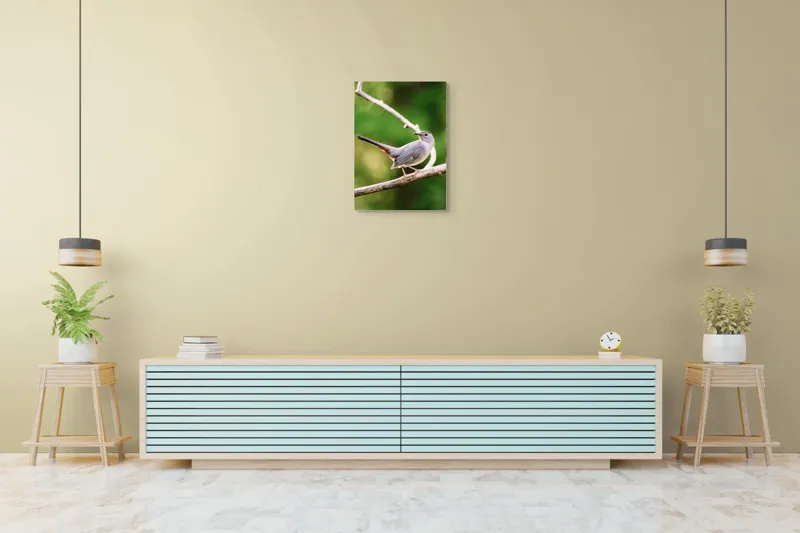 Tablou Canvas, "Păsărea cenușie printre ramuri subțiri", Pasăre, Ramură, Verdeață, Coadă, Penaj, Ochi, Natură, Frumusețe, 50 x 70 cm – poza 6