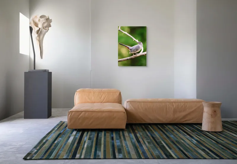 Tablou Canvas, "Păsărea cenușie printre ramuri subțiri", Pasăre, Ramură, Verdeață, Coadă, Penaj, Ochi, Natură, Frumusețe, 50 x 70 cm – poza 7