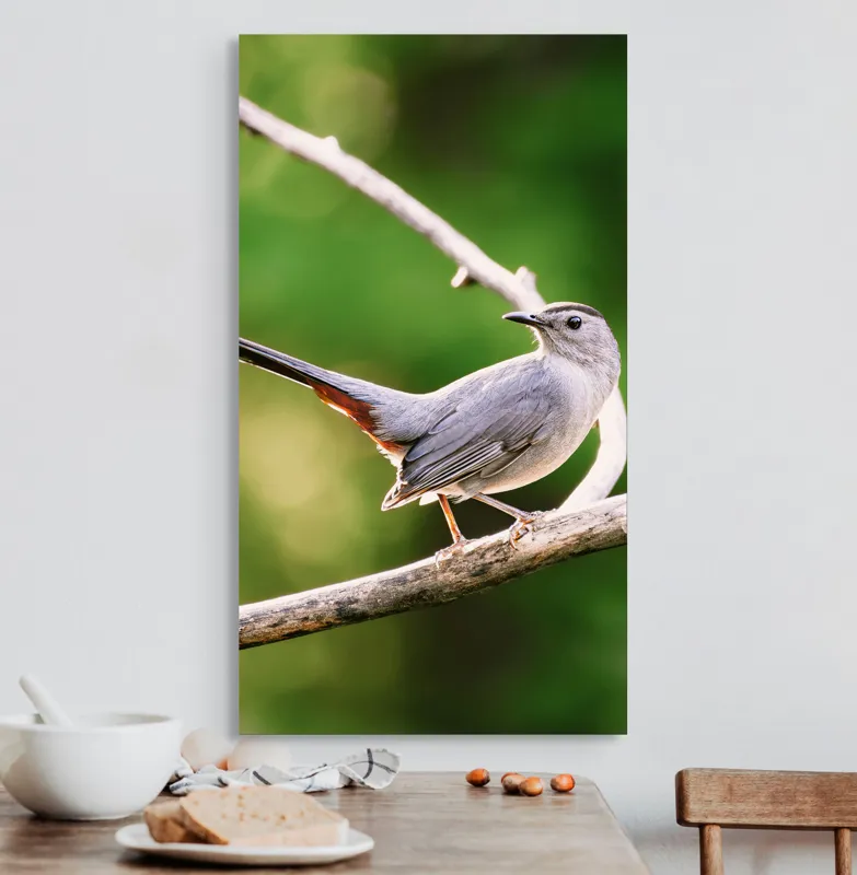 Tablou Canvas, "Păsărea cenușie printre ramuri subțiri", Pasăre, Ramură, Verdeață, Coadă, Penaj, Ochi, Natură, Frumusețe, 50 x 90 cm – poza 3