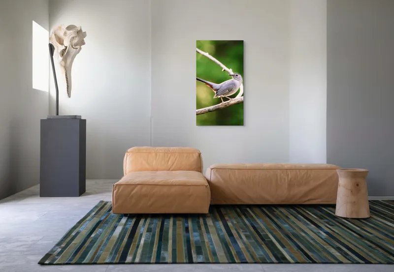 Tablou Canvas, "Păsărea cenușie printre ramuri subțiri", Pasăre, Ramură, Verdeață, Coadă, Penaj, Ochi, Natură, Frumusețe, 50 x 90 cm – poza 5