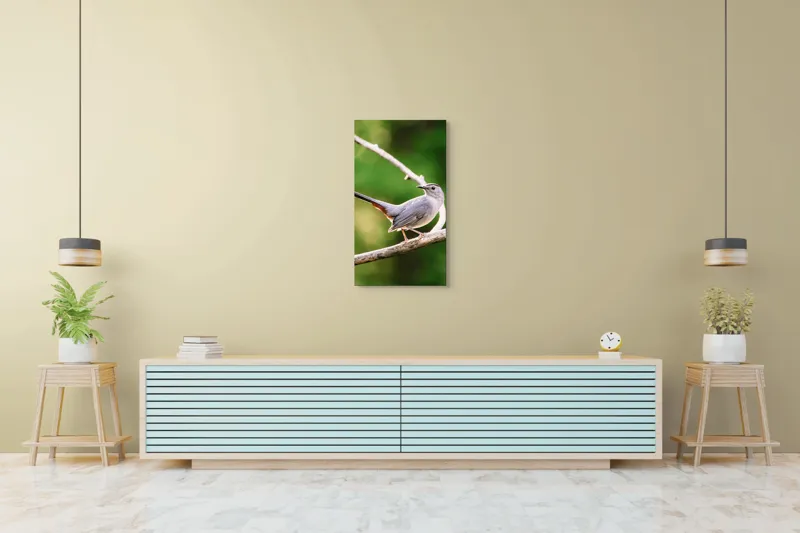 Tablou Canvas, "Păsărea cenușie printre ramuri subțiri", Pasăre, Ramură, Verdeață, Coadă, Penaj, Ochi, Natură, Frumusețe, 50 x 90 cm – poza 6
