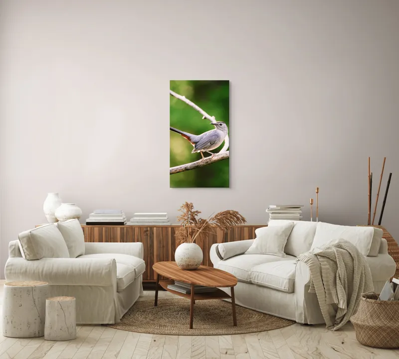 Tablou Canvas, "Păsărea cenușie printre ramuri subțiri", Pasăre, Ramură, Verdeață, Coadă, Penaj, Ochi, Natură, Frumusețe, 50 x 90 cm – poza 7