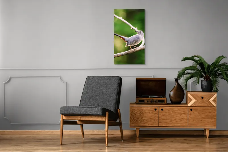 Tablou Canvas, "Păsărea cenușie printre ramuri subțiri", Pasăre, Ramură, Verdeață, Coadă, Penaj, Ochi, Natură, Frumusețe, 50 x 90 cm – poza 8