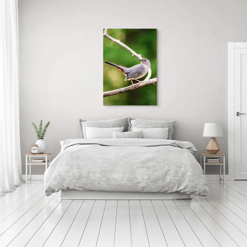 Tablou Canvas, "Păsărea cenușie printre ramuri subțiri", Pasăre, Ramură, Verdeață, Coadă, Penaj, Ochi, Natură, Frumusețe, 70 x 100 cm – poza 3