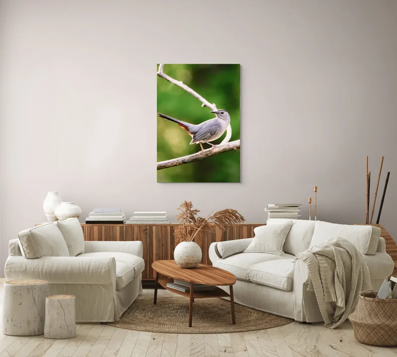 Tablou Canvas, "Păsărea cenușie printre ramuri subțiri", Pasăre, Ramură, Verdeață, Coadă, Penaj, Ochi, Natură, Frumusețe, 70 x 100 cm – poza 4