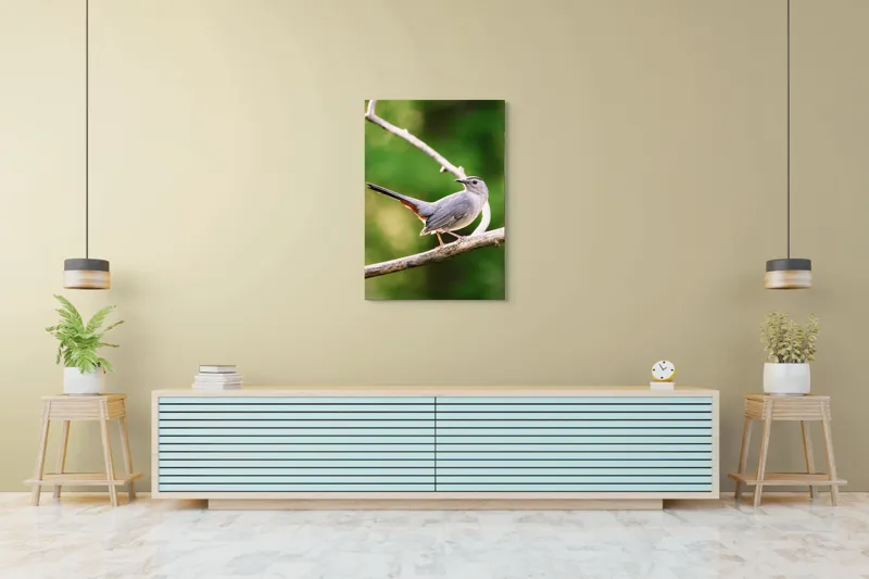 Tablou Canvas, "Păsărea cenușie printre ramuri subțiri", Pasăre, Ramură, Verdeață, Coadă, Penaj, Ochi, Natură, Frumusețe, 70 x 100 cm – poza 5