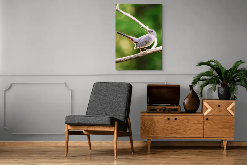 Tablou Canvas, "Păsărea cenușie printre ramuri subțiri", Pasăre, Ramură, Verdeață, Coadă, Penaj, Ochi, Natură, Frumusețe, 70 x 100 cm – poza 6