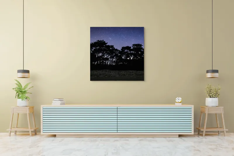 Tablou Canvas, "Cerul înstelat deasupra pădurii întunecate", Stele, Cer, Noapte, Copaci, Siluetă, Natură, Lumină, Cerneală, Mister, Liniște, 100 x 100 cm – poza 5