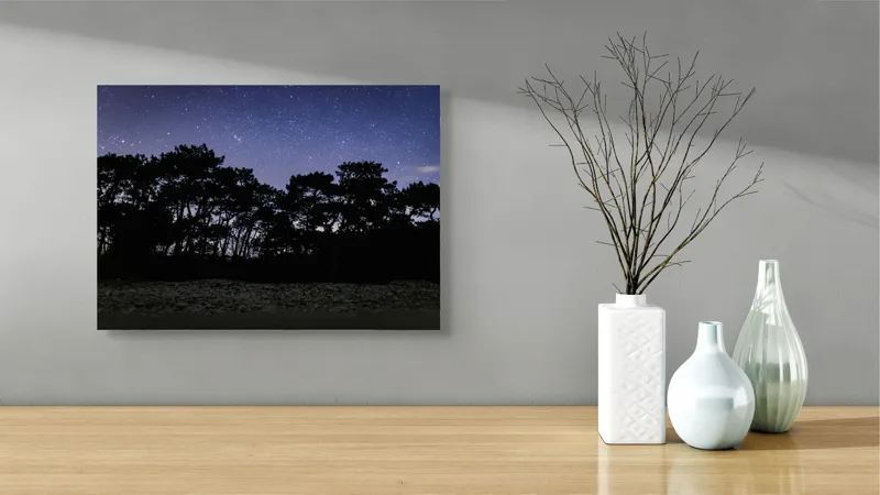 Tablou Canvas, "Cerul înstelat deasupra pădurii întunecate", Stele, Cer, Noapte, Copaci, Siluetă, Natură, Lumină, Cerneală, Mister, Liniște, 54 x 39 cm – poza 3