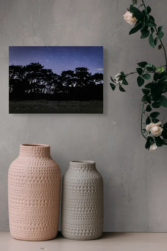 Tablou Canvas, "Cerul înstelat deasupra pădurii întunecate", Stele, Cer, Noapte, Copaci, Siluetă, Natură, Lumină, Cerneală, Mister, Liniște, 54 x 39 cm – poza 8