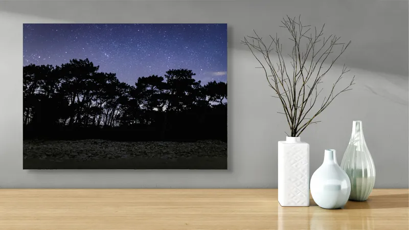 Tablou Canvas, "Cerul înstelat deasupra pădurii întunecate", Stele, Cer, Noapte, Copaci, Siluetă, Natură, Lumină, Cerneală, Mister, Liniște, 70 x 50 cm – poza 3