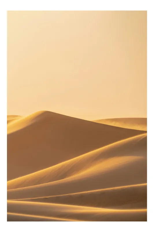Tablou Canvas, "Dunele aurii sub soare arid", Aur, Valuri, Nisip, Serenitate, Imensitate, Calm, Dune, Lumină, 70 x 100 cm