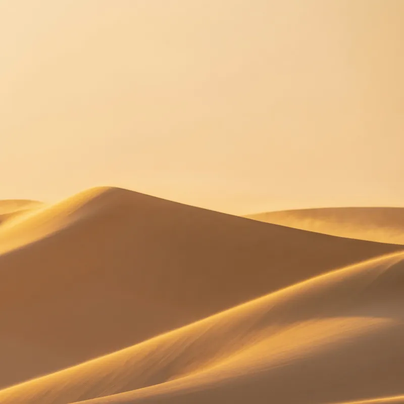 Tablou Canvas, "Dunele aurii sub soare arid", Aur, Valuri, Nisip, Serenitate, Imensitate, Calm, Dune, Lumină, 100 x 100 cm – poza 2
