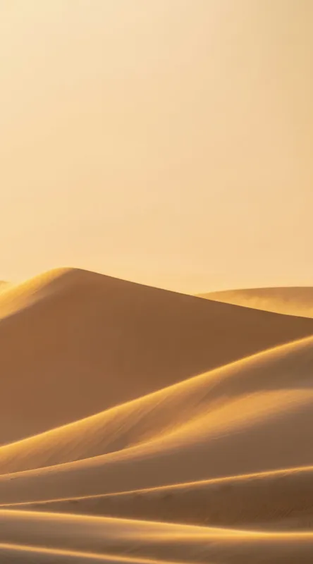 Tablou Canvas, "Dunele aurii sub soare arid", Aur, Valuri, Nisip, Serenitate, Imensitate, Calm, Dune, Lumină, 50 x 90 cm – poza 2