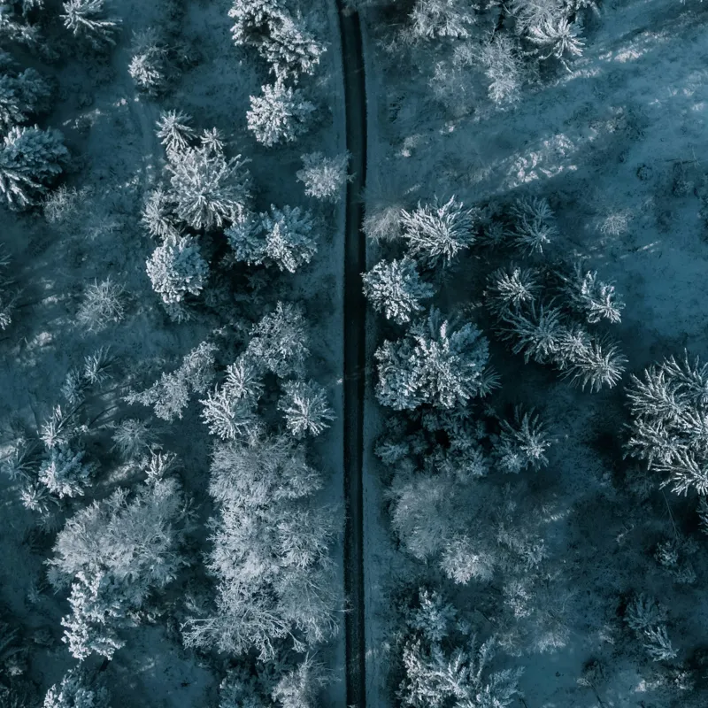 Tablou Canvas, "Cărare prin pădurea de iarnă", Cale, Înghețată, Arbori, Zăpadă, Rece, Natură, Pădure, Iarnă, Frig, Peisaj, Linia, Întunecat, Albastru, Contrast, Vedere., 100 x 100 cm – poza 2
