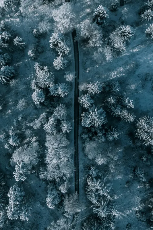 Tablou Canvas, "Cărare prin pădurea de iarnă", Cale, Înghețată, Arbori, Zăpadă, Rece, Natură, Pădure, Iarnă, Frig, Peisaj, Linia, Întunecat, Albastru, Contrast, Vedere., 100 x 150 cm – poza 2