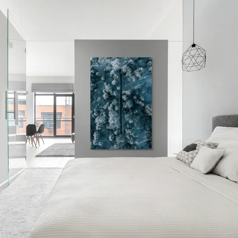 Tablou Canvas, "Cărare prin pădurea de iarnă", Cale, Înghețată, Arbori, Zăpadă, Rece, Natură, Pădure, Iarnă, Frig, Peisaj, Linia, Întunecat, Albastru, Contrast, Vedere., 100 x 150 cm – poza 5