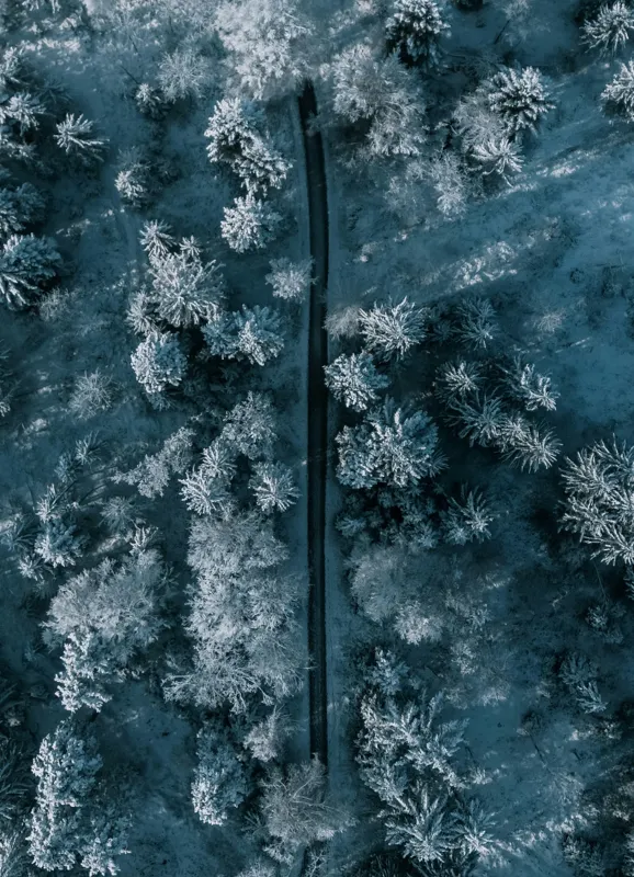Tablou Canvas, "Cărare prin pădurea de iarnă", Cale, Înghețată, Arbori, Zăpadă, Rece, Natură, Pădure, Iarnă, Frig, Peisaj, Linia, Întunecat, Albastru, Contrast, Vedere., 39 x 54 cm – poza 2