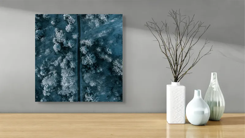 Tablou Canvas, "Cărare prin pădurea de iarnă", Cale, Înghețată, Arbori, Zăpadă, Rece, Natură, Pădure, Iarnă, Frig, Peisaj, Linia, Întunecat, Albastru, Contrast, Vedere., 50 x 50 cm – poza 3