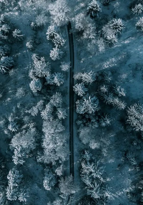 Tablou Canvas, "Cărare prin pădurea de iarnă", Cale, Înghețată, Arbori, Zăpadă, Rece, Natură, Pădure, Iarnă, Frig, Peisaj, Linia, Întunecat, Albastru, Contrast, Vedere., 70 x 100 cm – poza 2