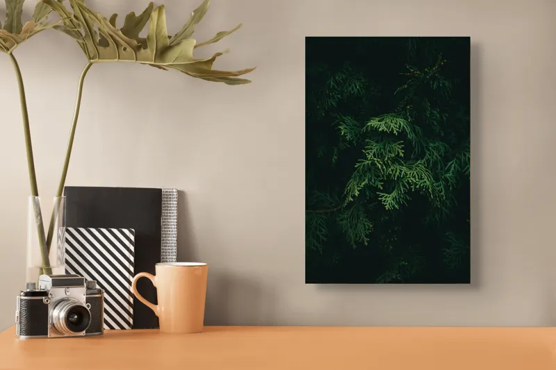 Tablou Canvas, "Frumusețea misterioasă a frunzelor de conifer", Verde, Frunze, Întuneric, Natură, Mister, Contrast, Liniște, 26 x 39 cm – poza 3