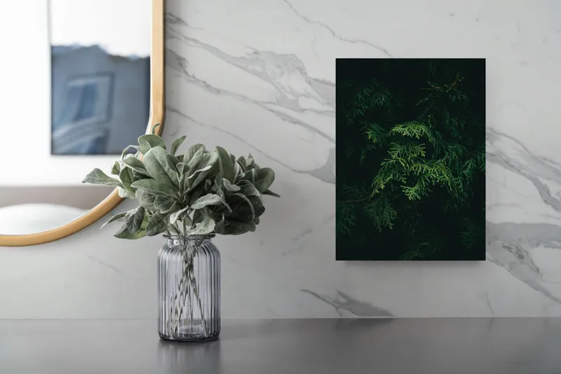 Tablou Canvas, "Frumusețea misterioasă a frunzelor de conifer", Verde, Frunze, Întuneric, Natură, Mister, Contrast, Liniște, 26 x 39 cm – poza 4