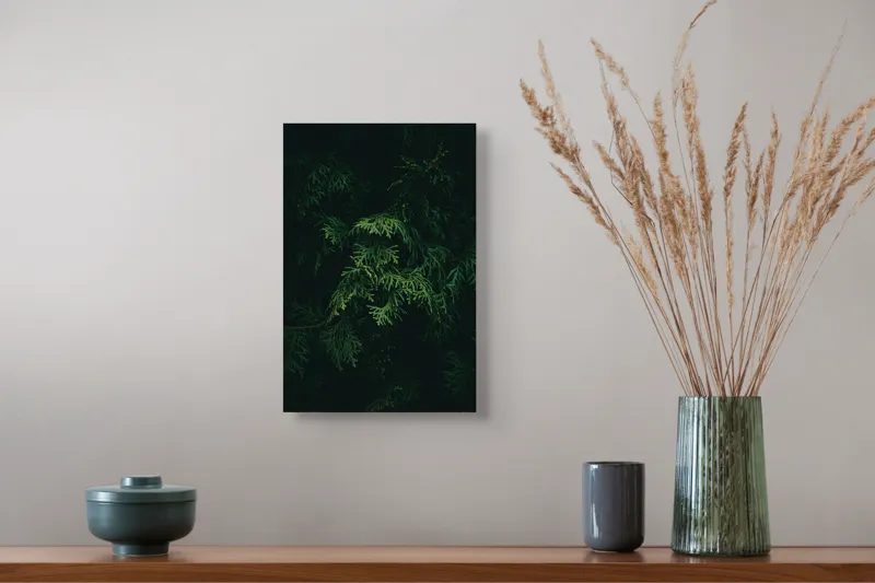 Tablou Canvas, "Frumusețea misterioasă a frunzelor de conifer", Verde, Frunze, Întuneric, Natură, Mister, Contrast, Liniște, 26 x 39 cm – poza 5