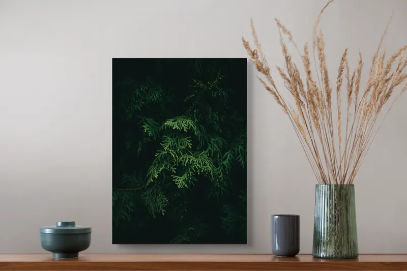 Tablou Canvas, "Frumusețea misterioasă a frunzelor de conifer", Verde, Frunze, Întuneric, Natură, Mister, Contrast, Liniște, 39 x 54 cm – poza 3