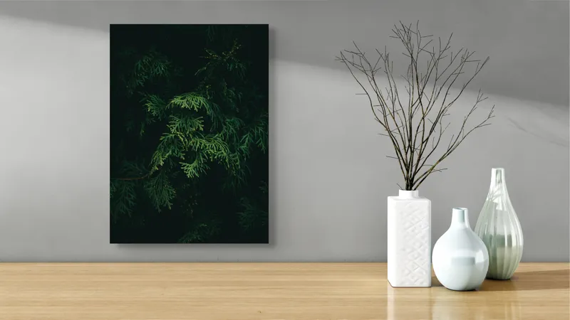 Tablou Canvas, "Frumusețea misterioasă a frunzelor de conifer", Verde, Frunze, Întuneric, Natură, Mister, Contrast, Liniște, 39 x 54 cm – poza 4